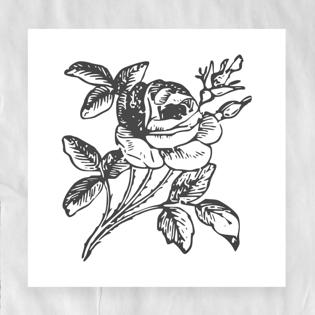 Rose Flower SVG – MasterBundles