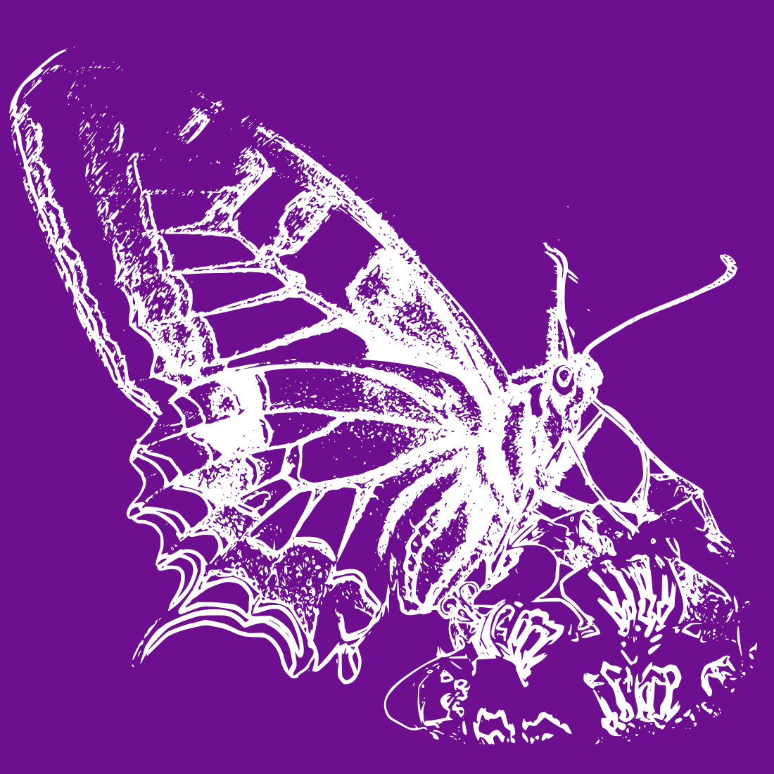 free bug butterfly svg1