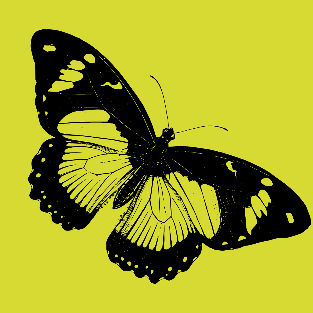 Free Nature Animal Butterfly SVG cover image.