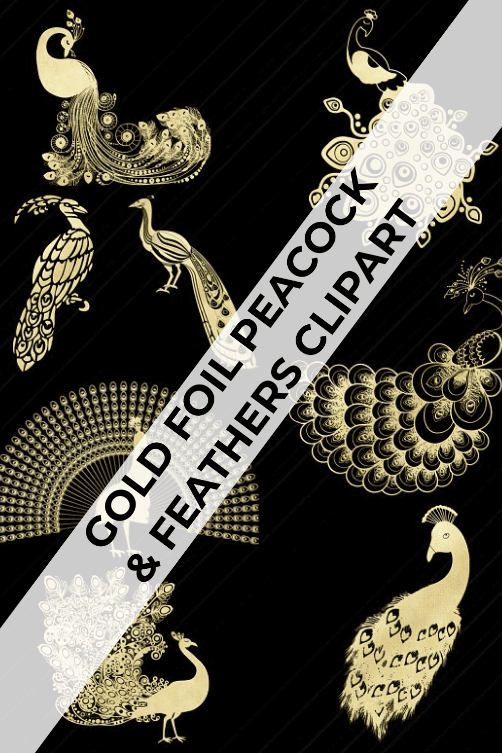 gold foil peacock feathers clipart pinterest image.