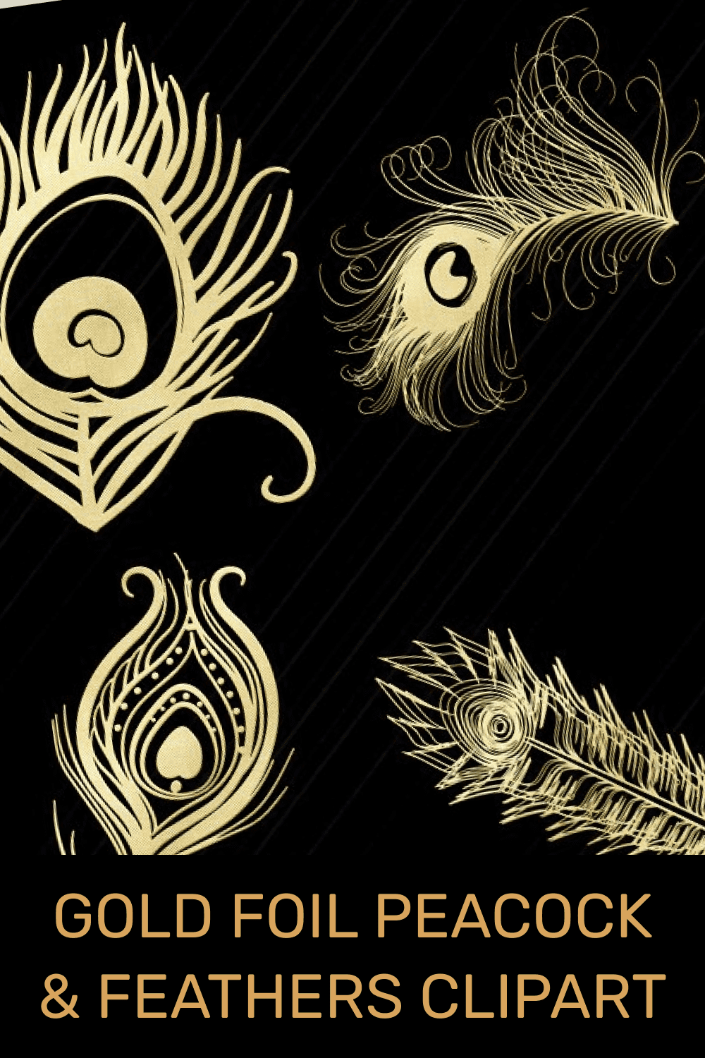gold foil peacock feathers clipart pinterest image.