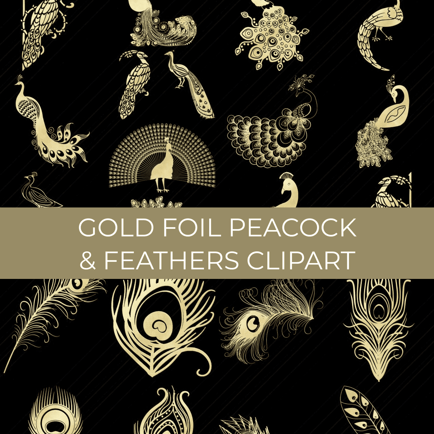gold foil peacock feathers clipart preview image.