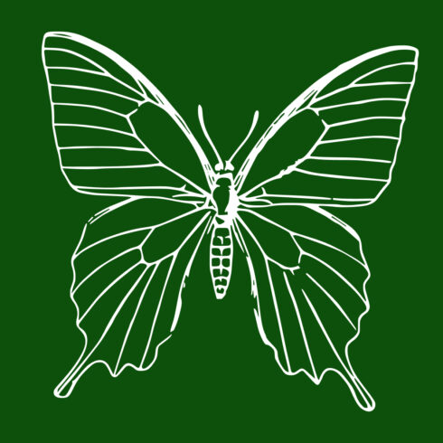 Free Insect Butterfly SVG