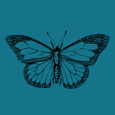 insect butterfly wings antenna svg