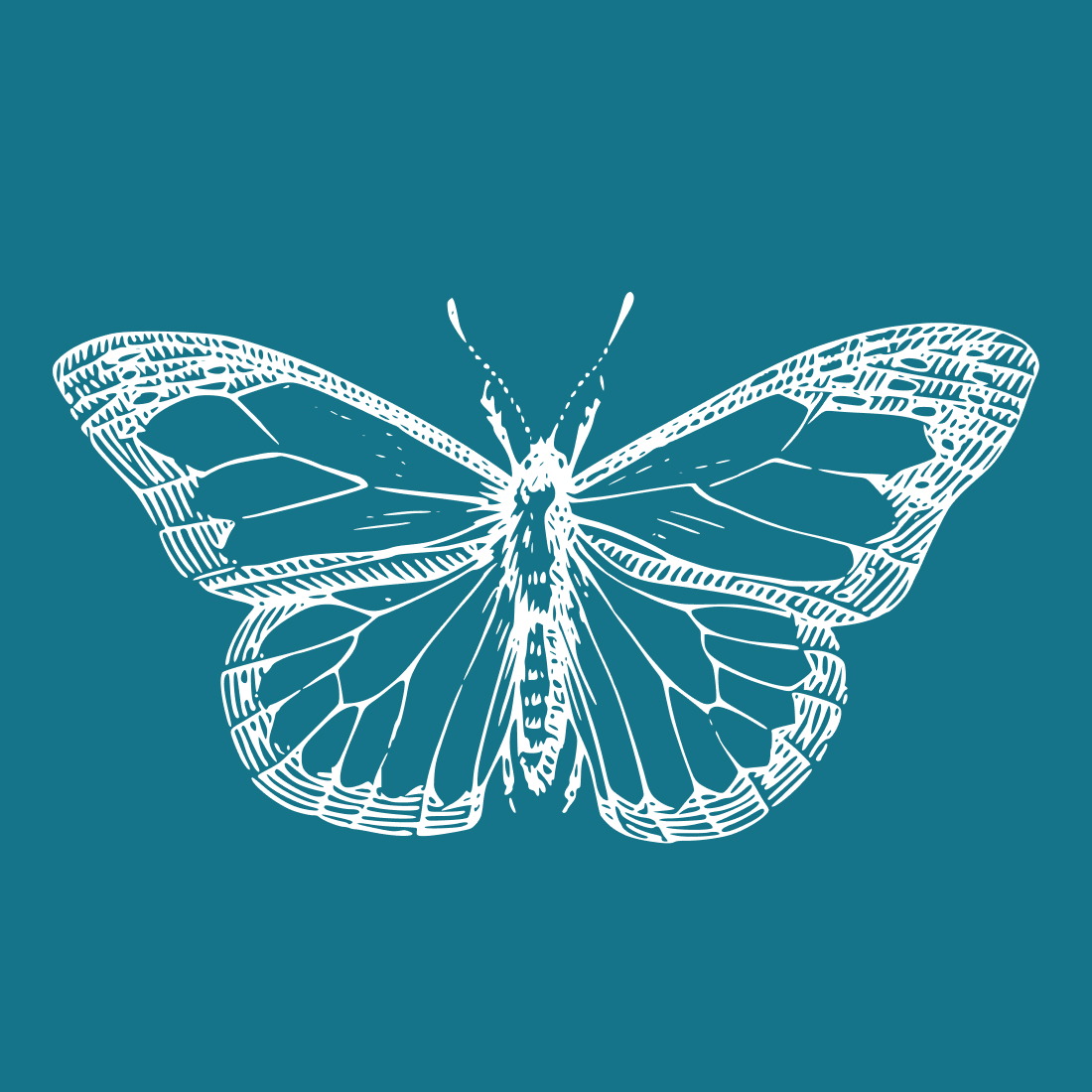 insect butterfly wings antenna svg2