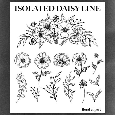 isolated daisy line art floral clipart cover image.