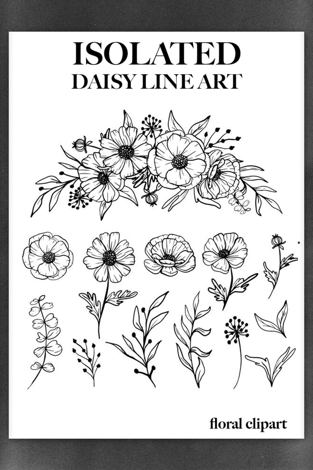 isolated daisy line art floral clipart pinterest image.