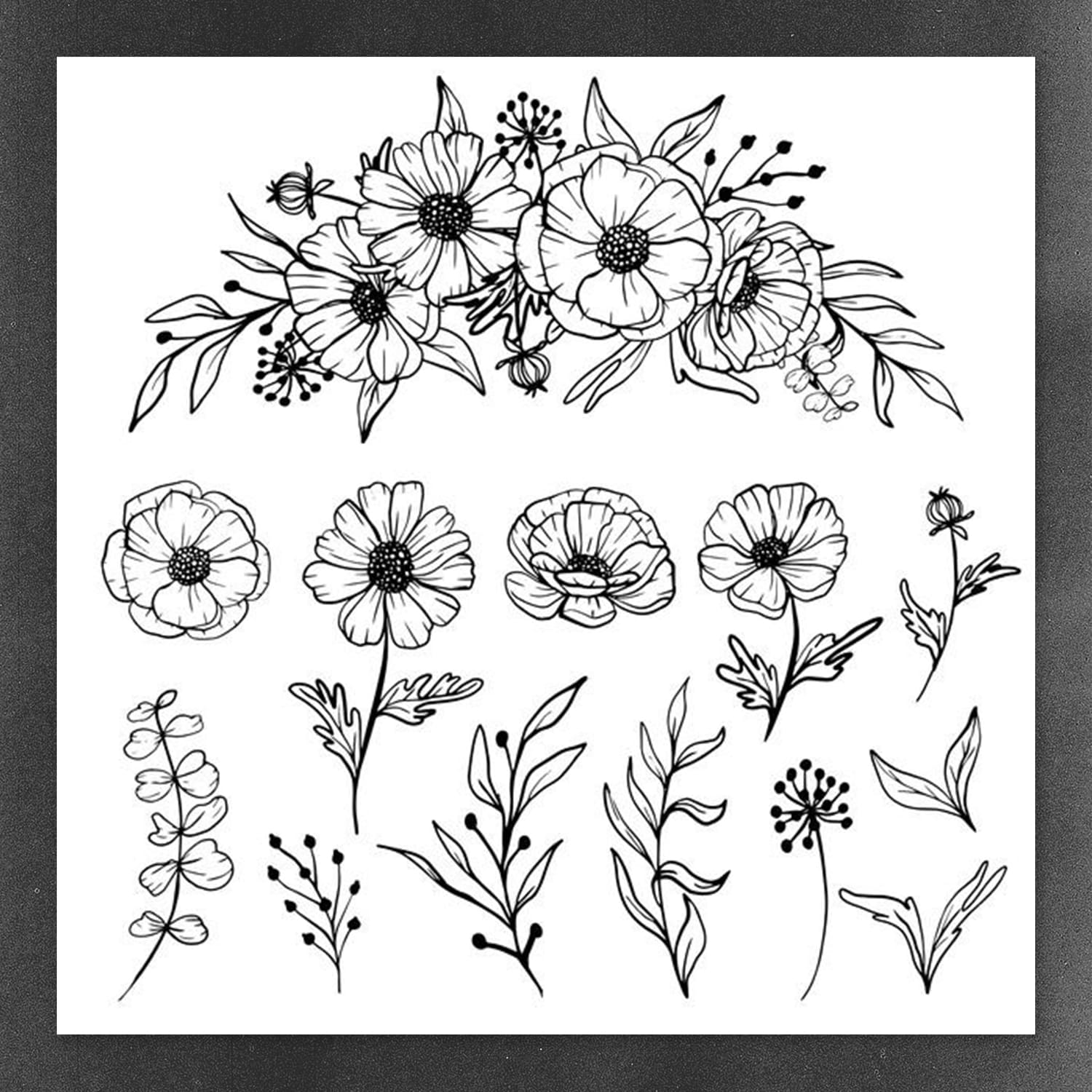 isolated daisy line art floral clipart preview image.