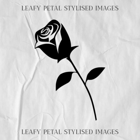 leafy petal stylised images cover image.