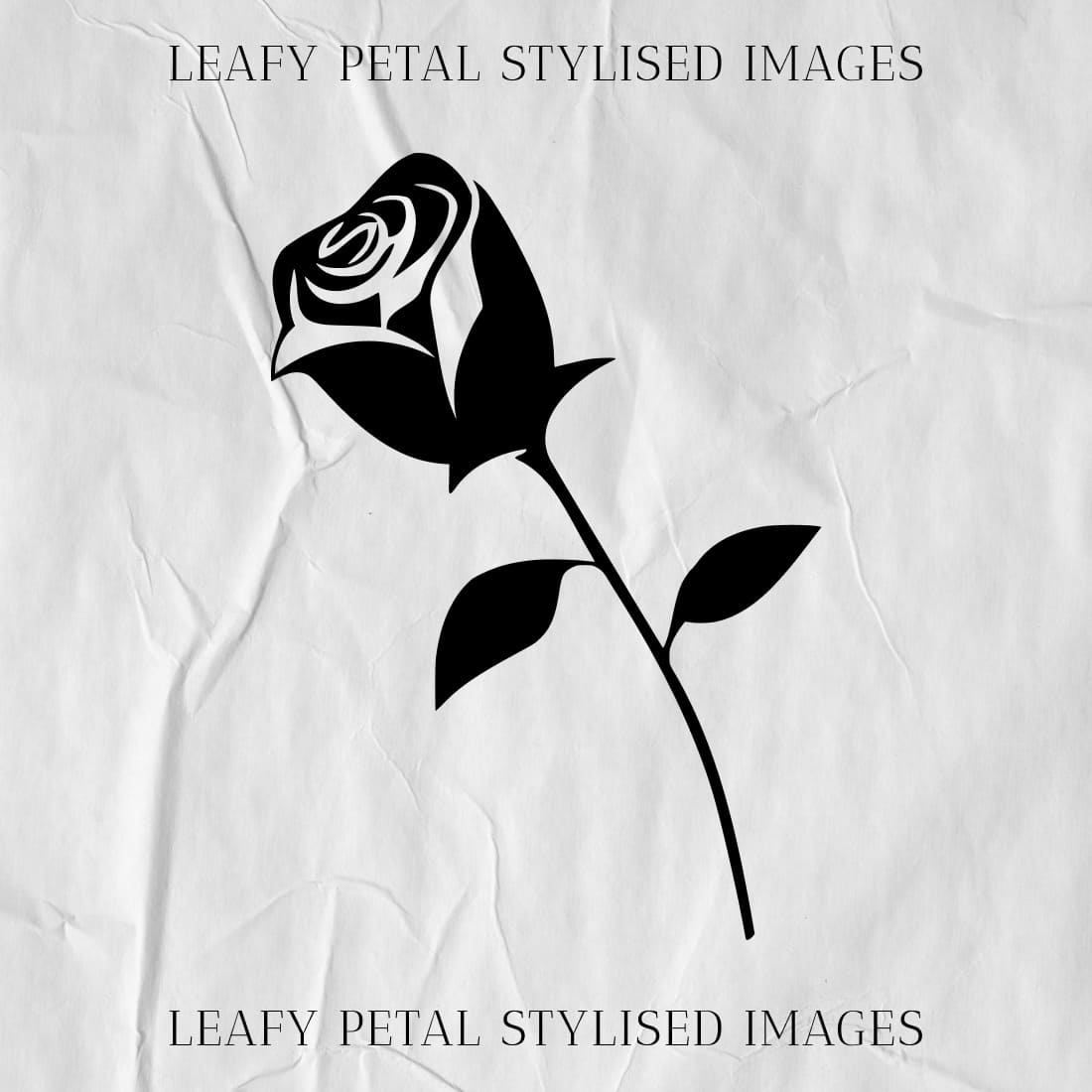 leafy petal stylised images cover image.