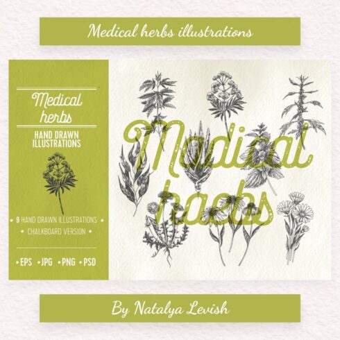 medical herbs illustrations cover image.