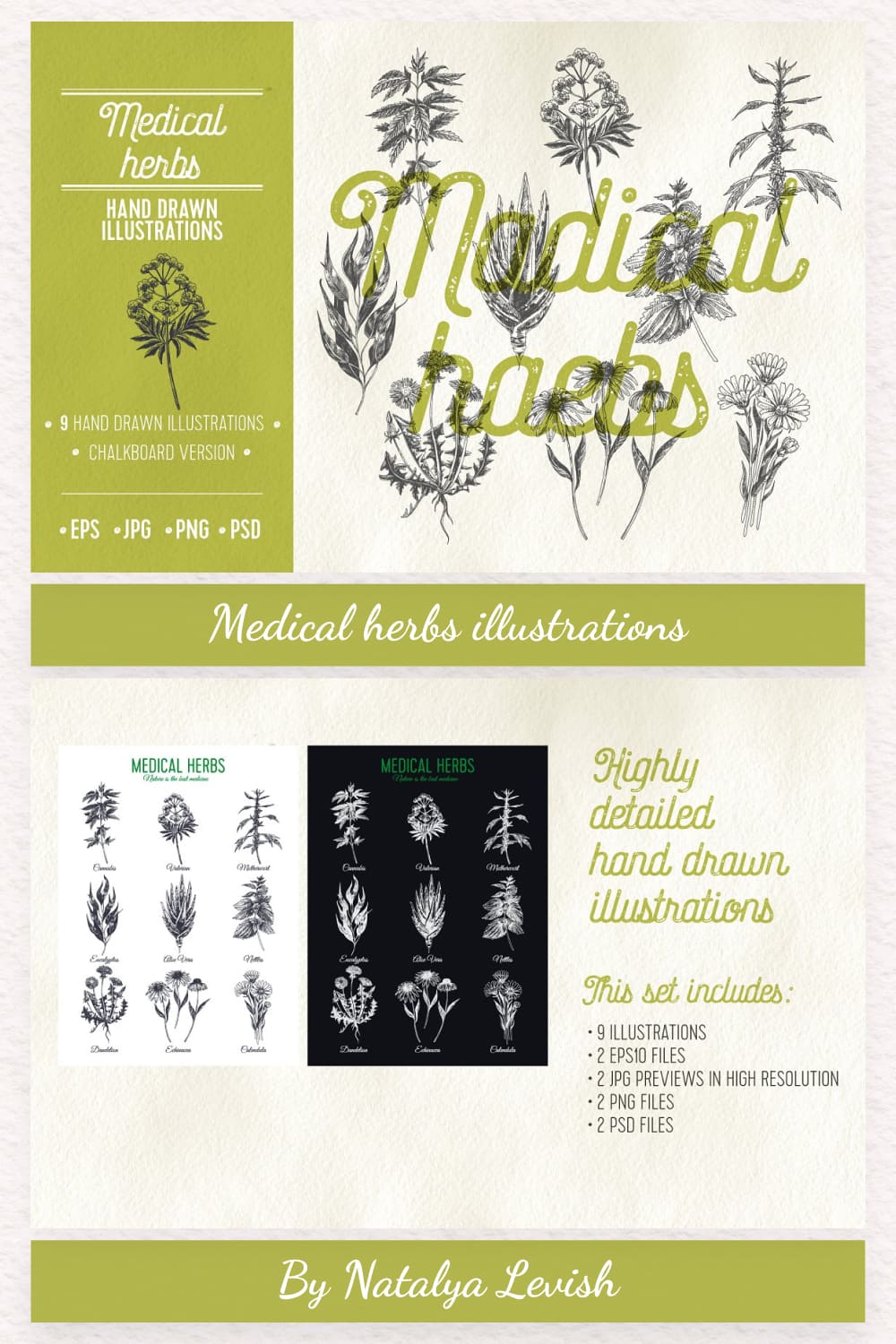 medical herbs illustrations pinterest image.