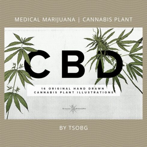 medical marijuana cannabis plant cover image.