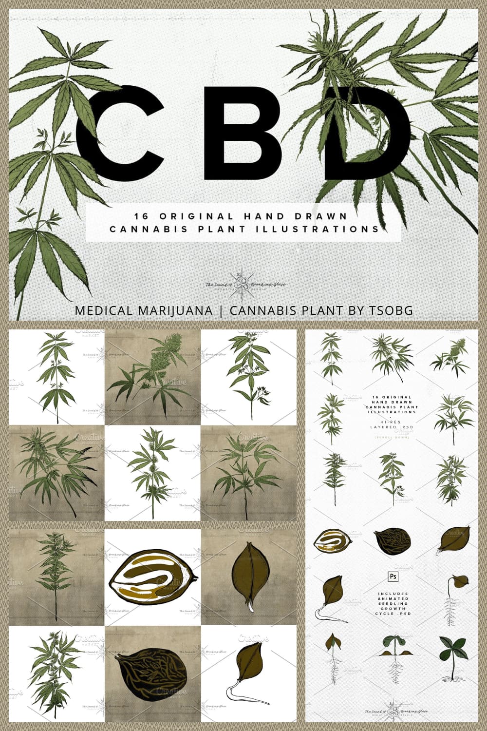 medical marijuana cannabis plant pinterest image.