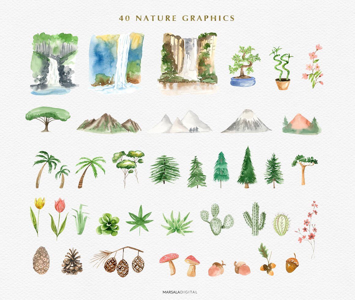 40 Nature Graphics.