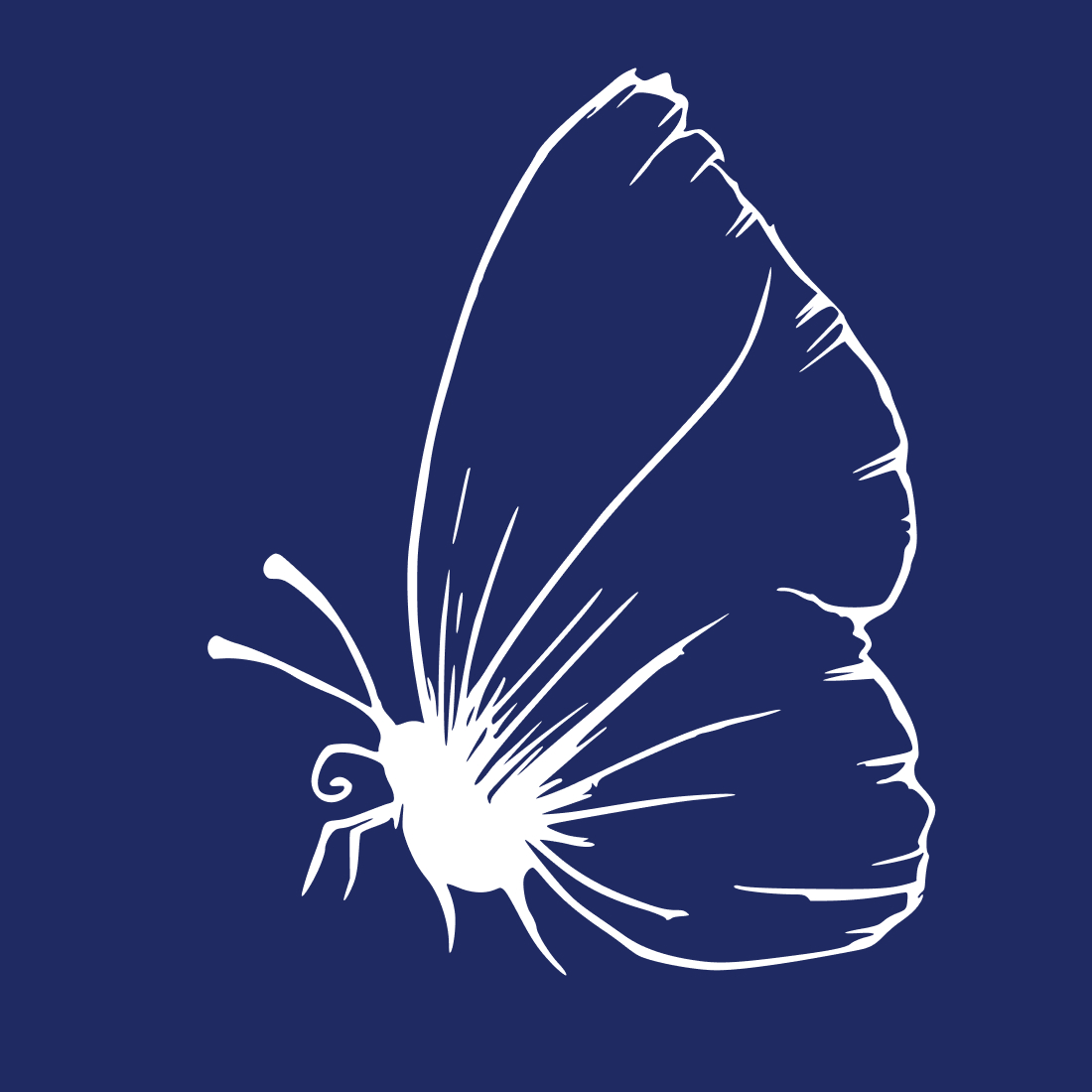 Nature Butterfly Animals SVG