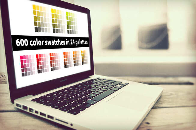 600 Color Swatches In 24 Palettes On The Laptop.