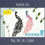peacock bird cut svg file cover