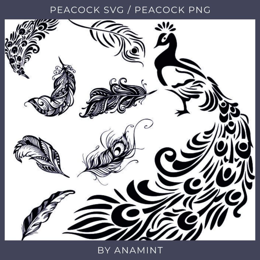 Peacock Svg Bundle Peacock Feather Svg Peacock Mandala Svg Peacock |  sexiezpix Web Porn