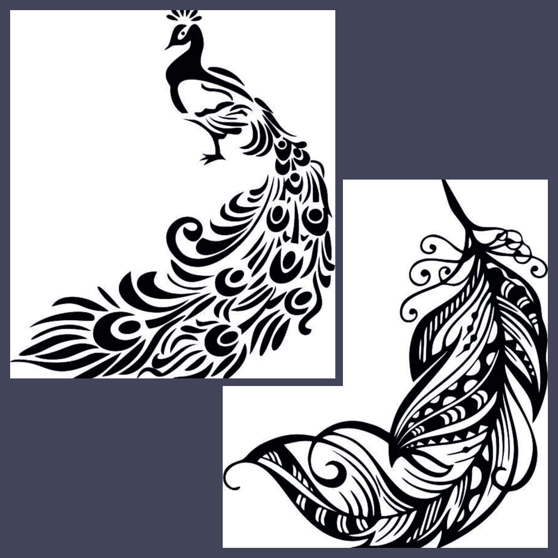 peacock feather clipart black and white