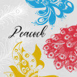 peacock svg files pack cover image.
