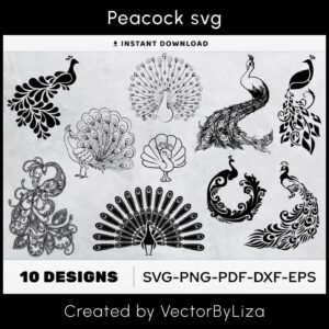 Peacock SVG, Peacock Clipart – MasterBundles