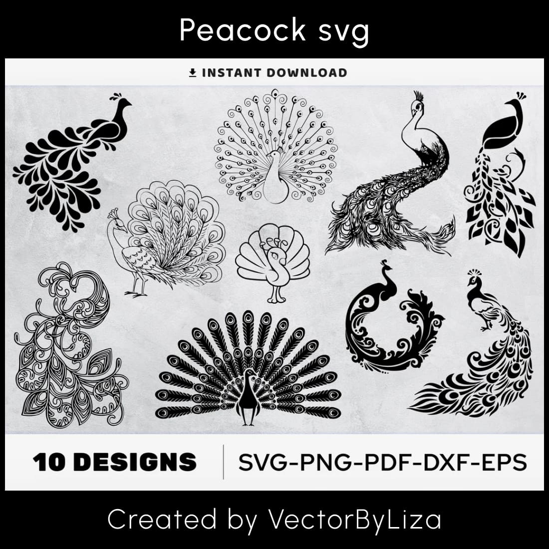 peacock svg peacock clipart cover