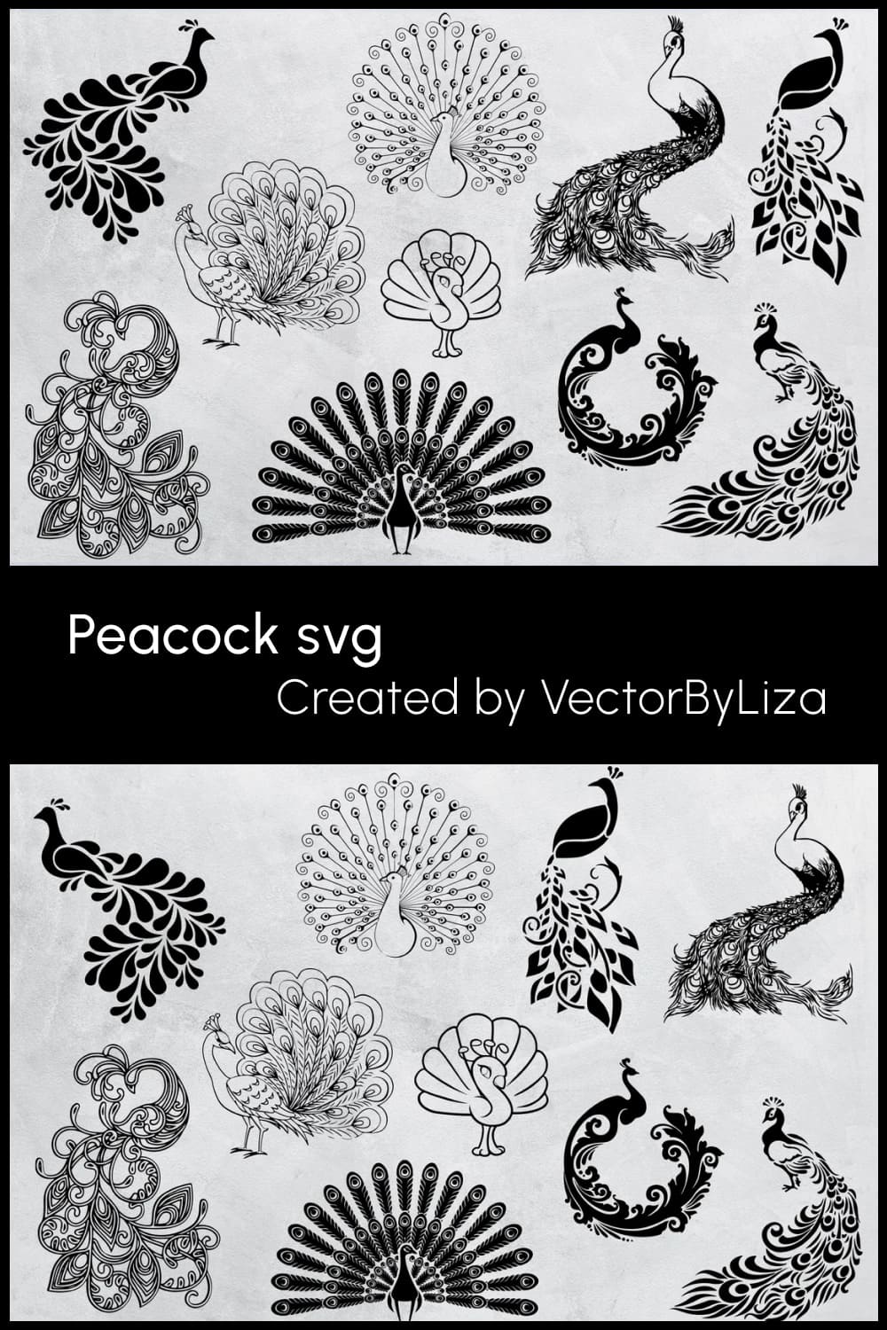peacock svg peacock clipart pinterest image.