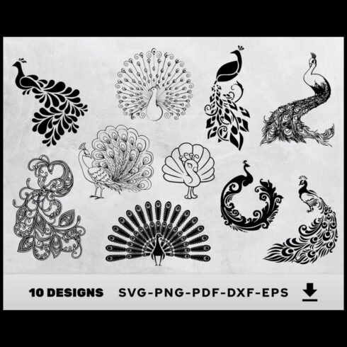 Peacock SVG, Peacock Clipart – MasterBundles