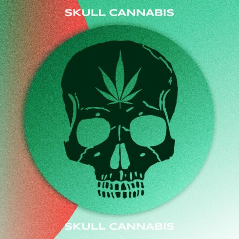 skull cannabis cover image.