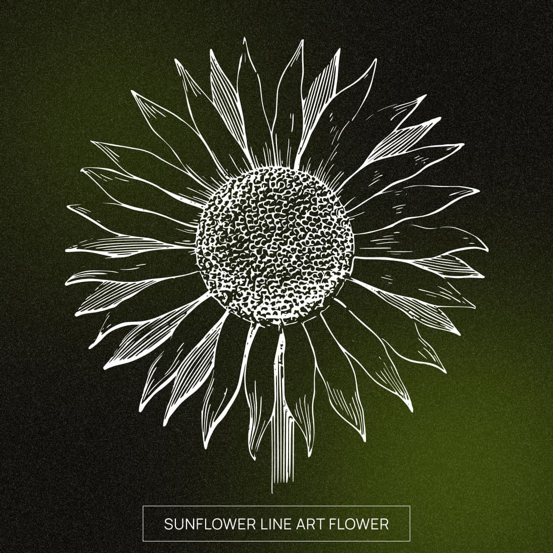 sunflower line art flower cover