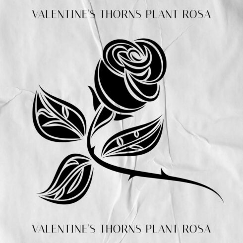 valentines thorns plant rosa cover