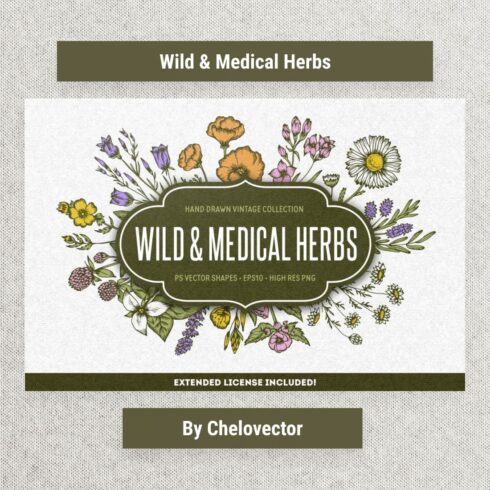 wild medical herbs cover image.