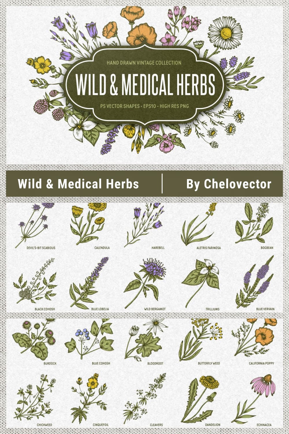 wild medical herbs pinterest image.