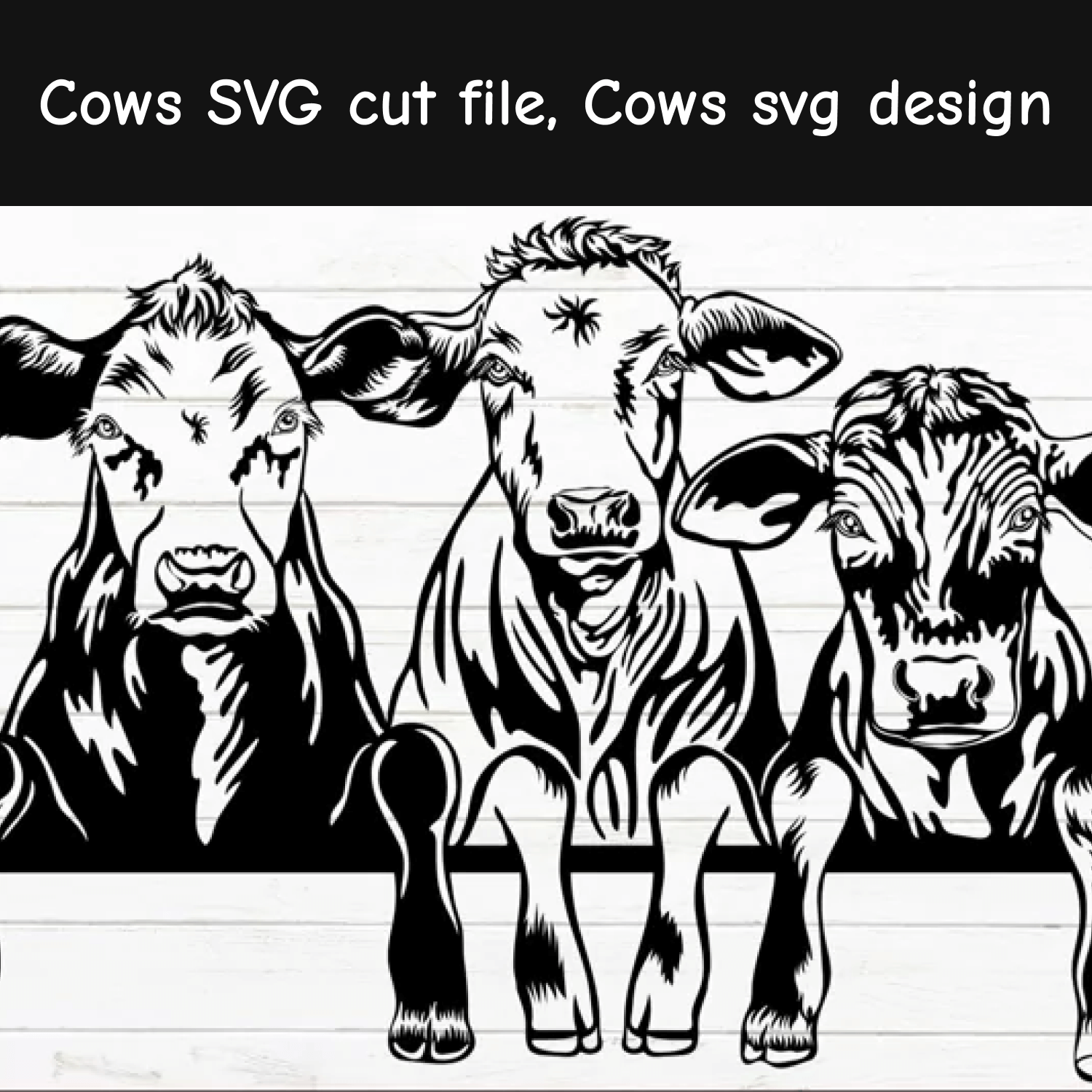 Сows svg cut file cows svg design.