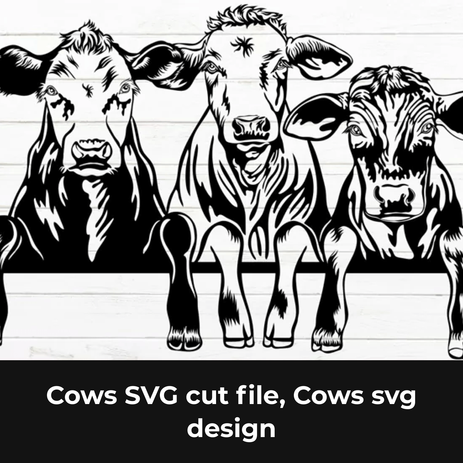 Cows svg cut file.