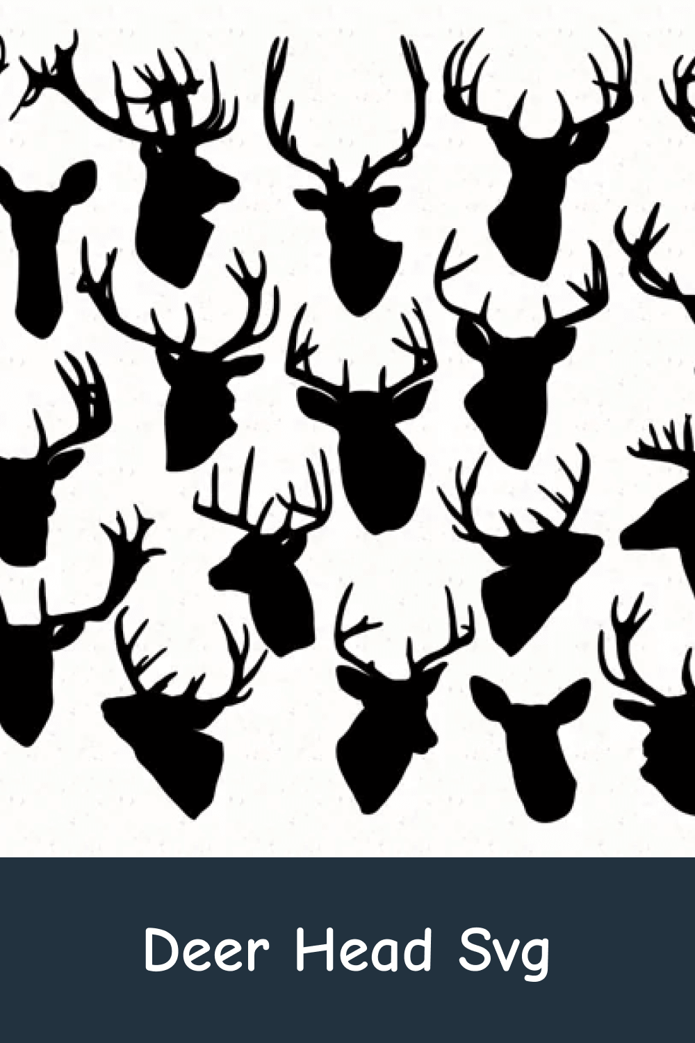 Many Different Types of Deer.