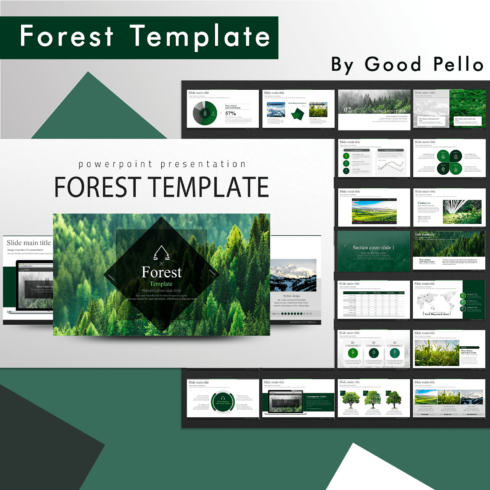 Forest Powerpoint Presentation Template – MasterBundles