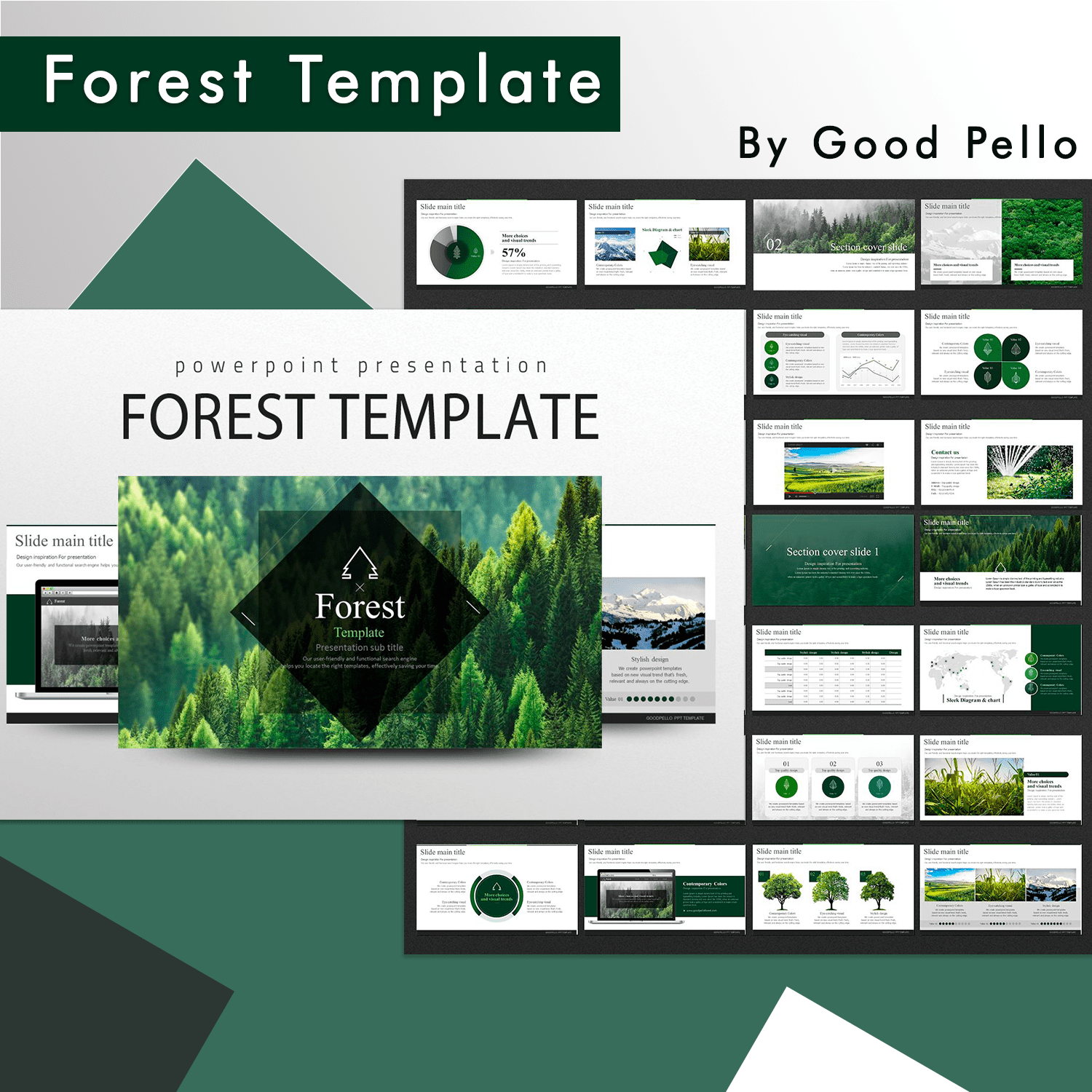 2forest template 1500x1500.