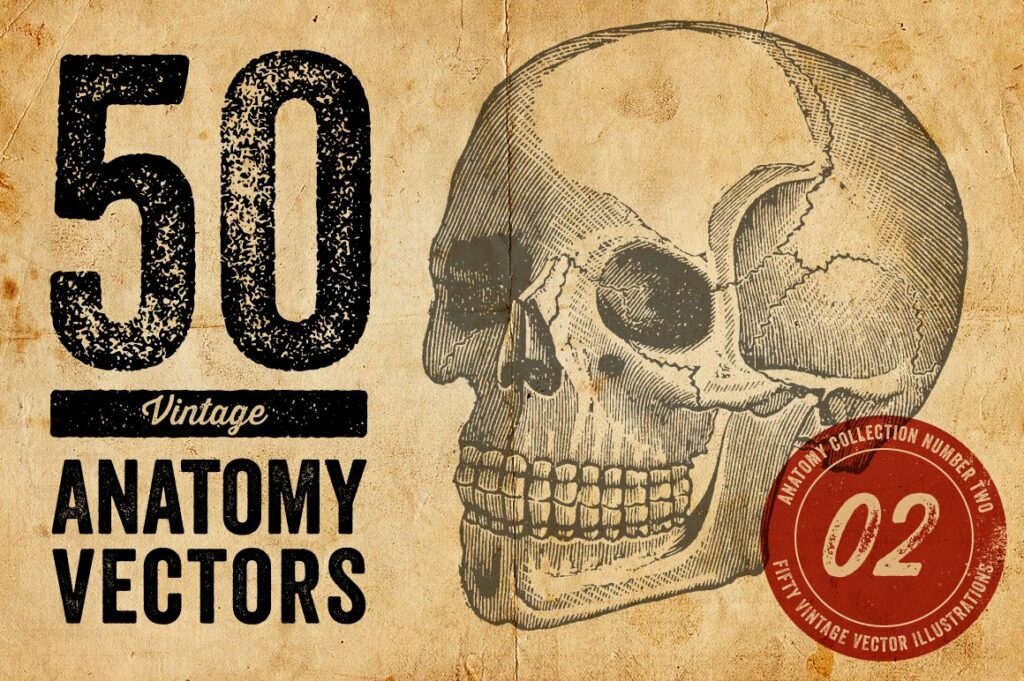 50 vintage anatomy vectors cover.
