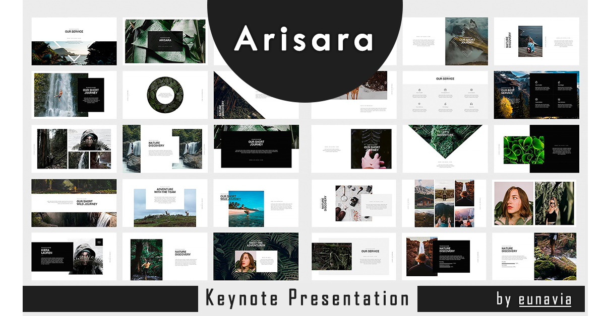 Many Slides of Arisara Presentation.