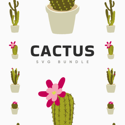 cactus svg collection cover image