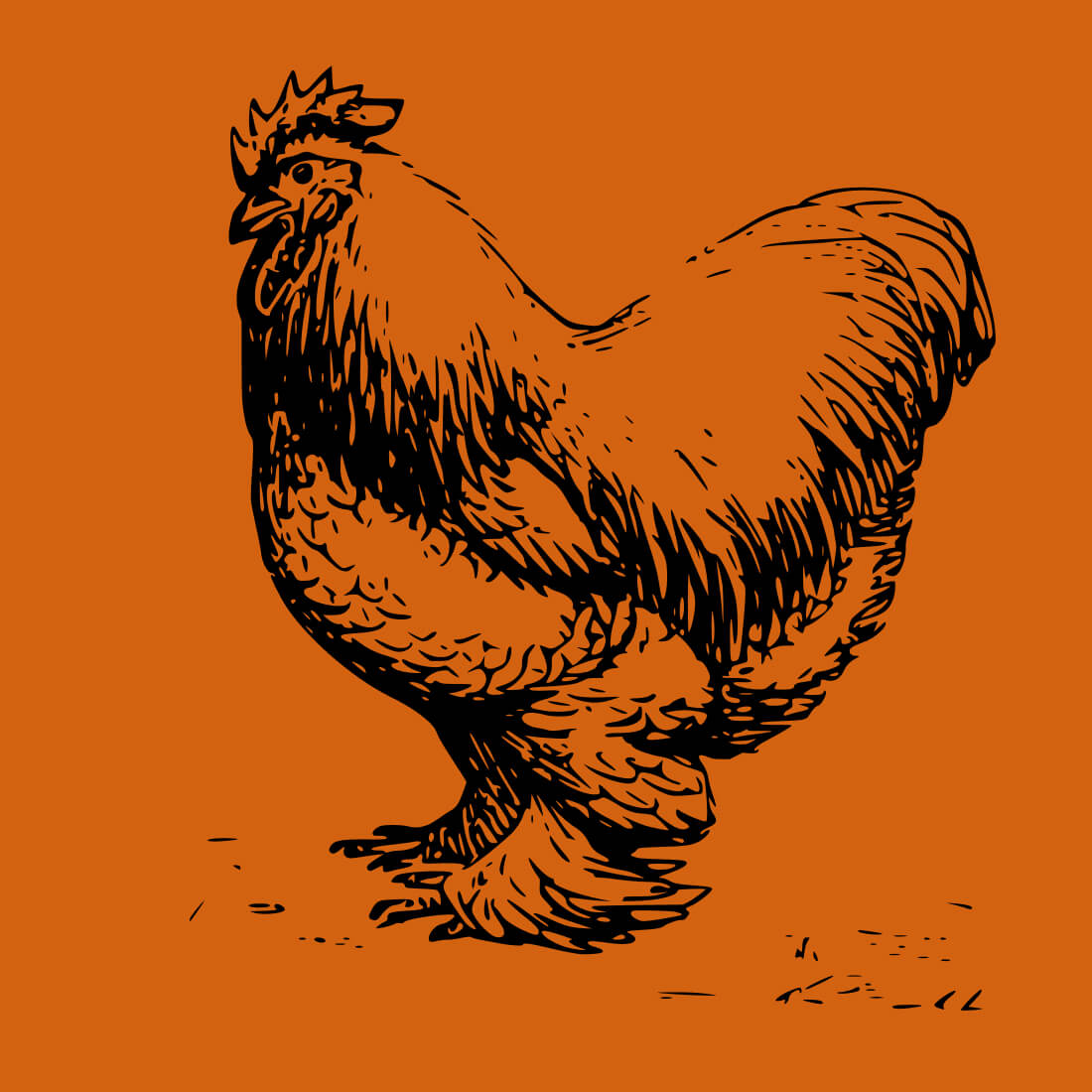 Free Barn Feathers Chicken Farm SVG cover.