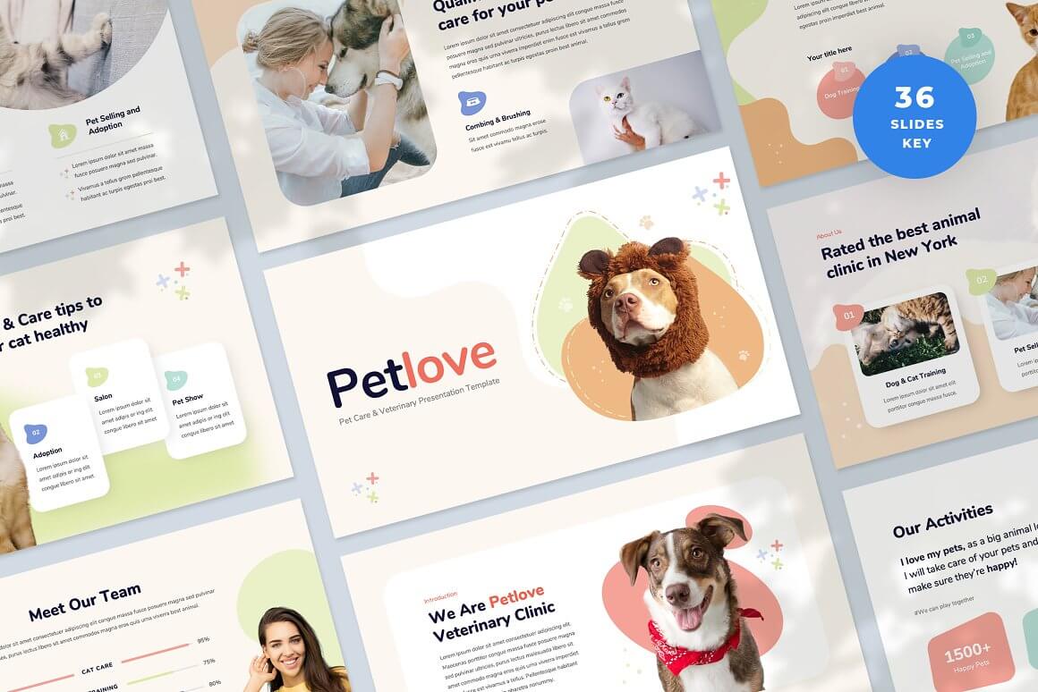 Pet Care and Veterinary Presentation Template.