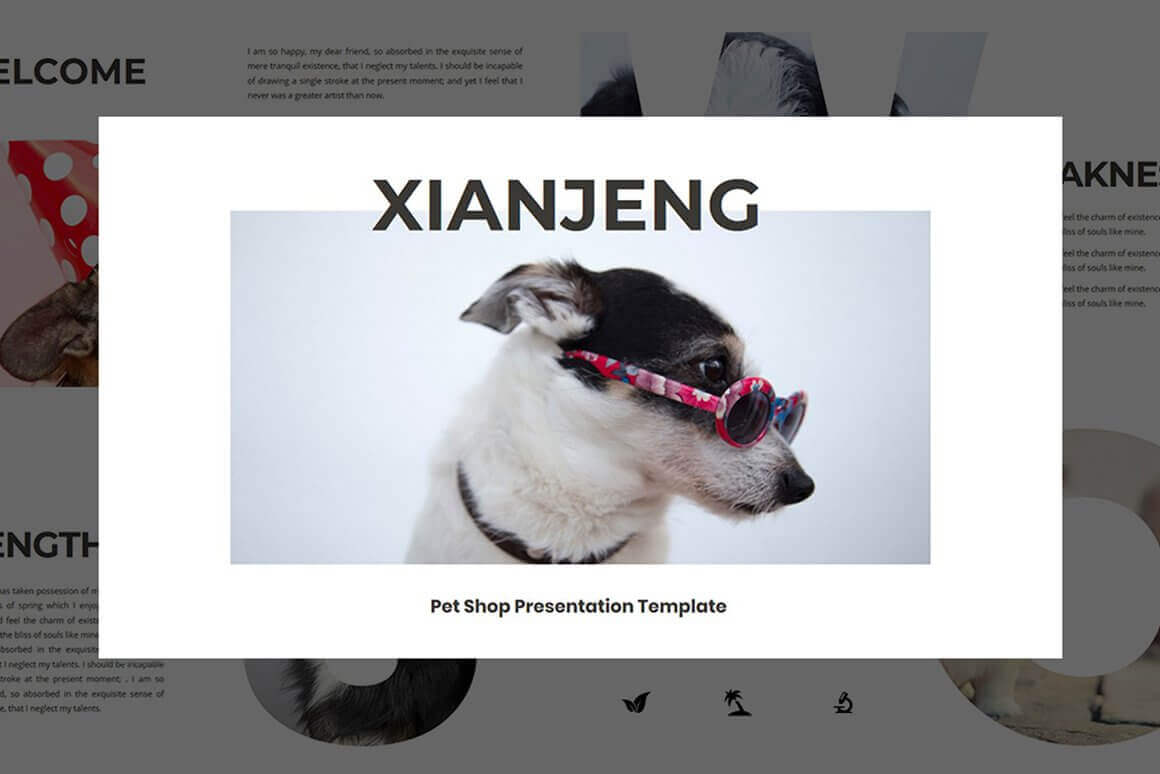 Xianjeng Pet Shop Presentation Template.