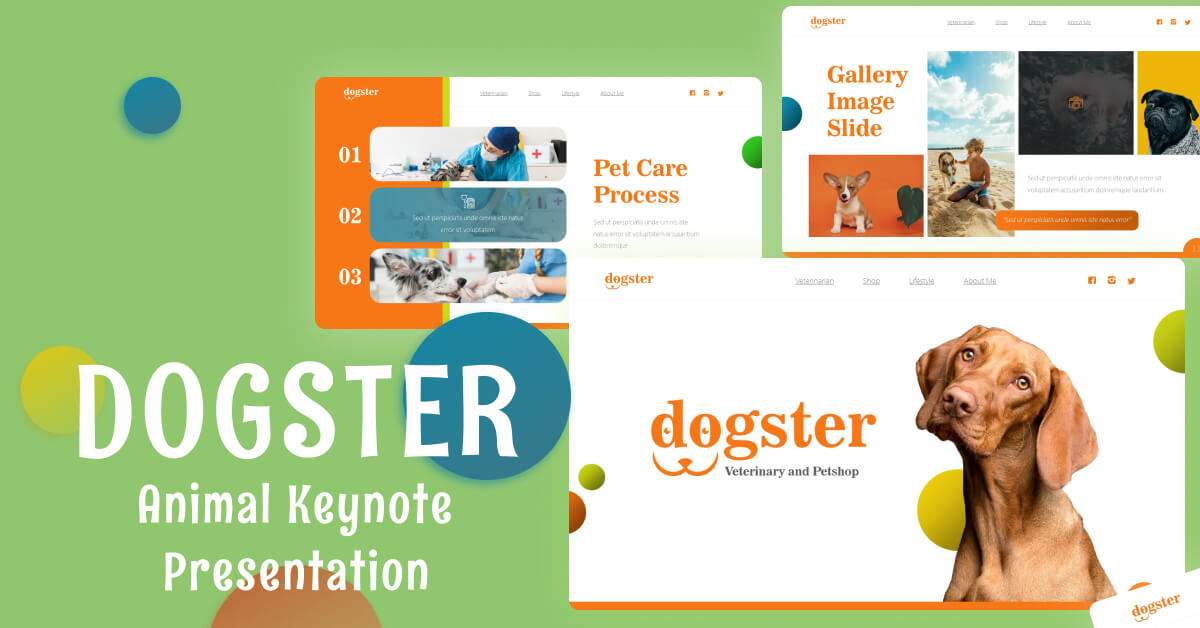 Three Slides of Presentation of Dogster.
