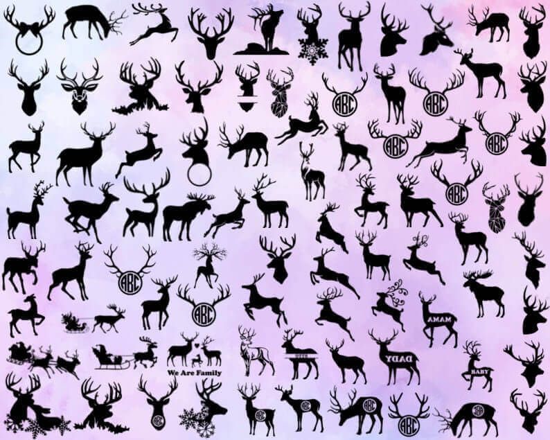 Many Types of Deer.