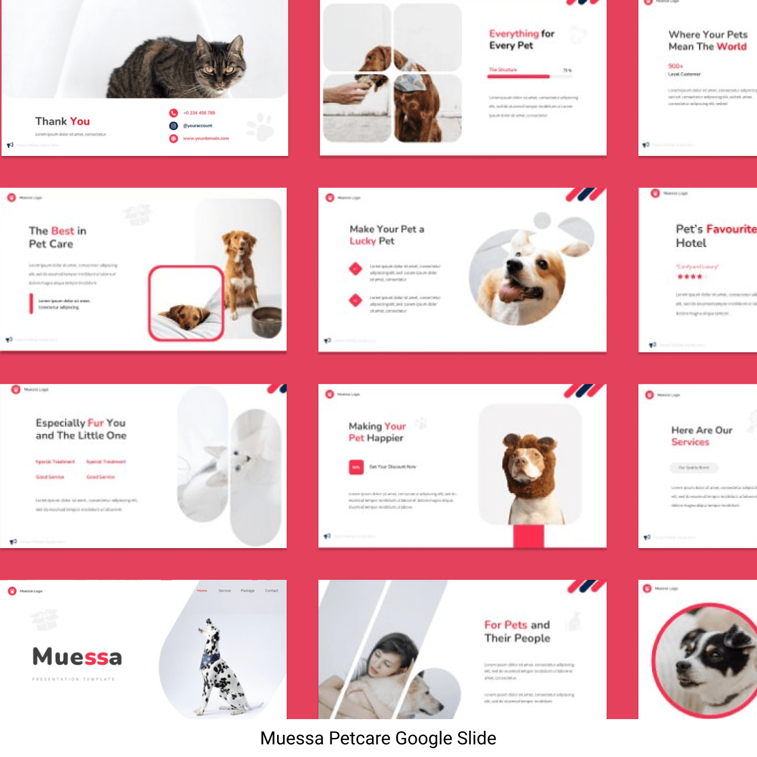 Petcare google slide.