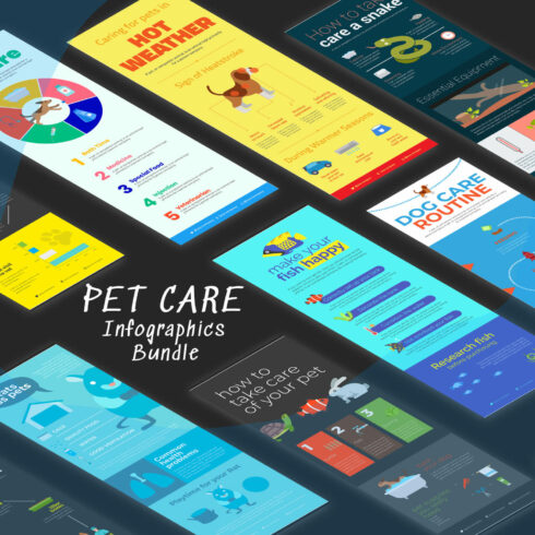 Pet Care Infographic Bundle.