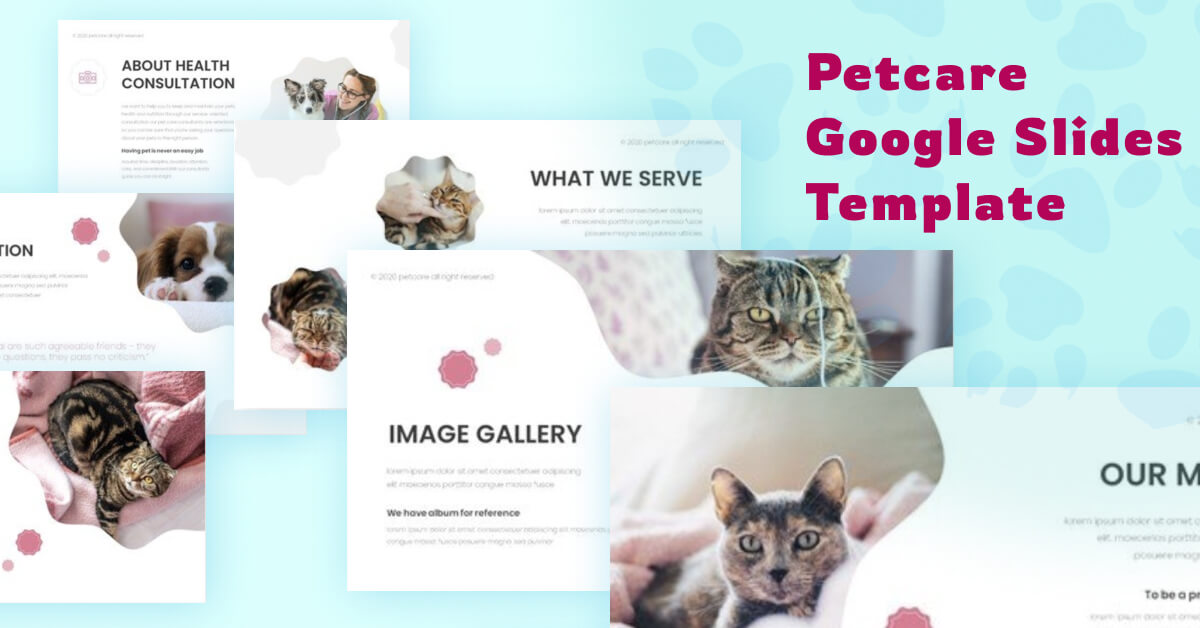 Image Gallery of Petcare.